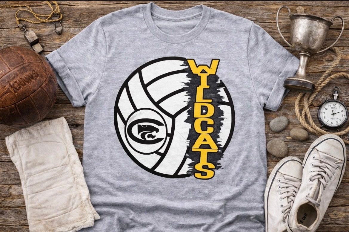 Cuba Wildcats Volleyball - Image 2