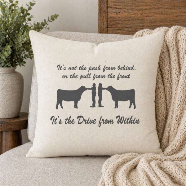 It's not the push from behind, or the pull from the front. It's the drive from within Throw Pillow Cover