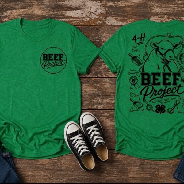 4H Beef Project