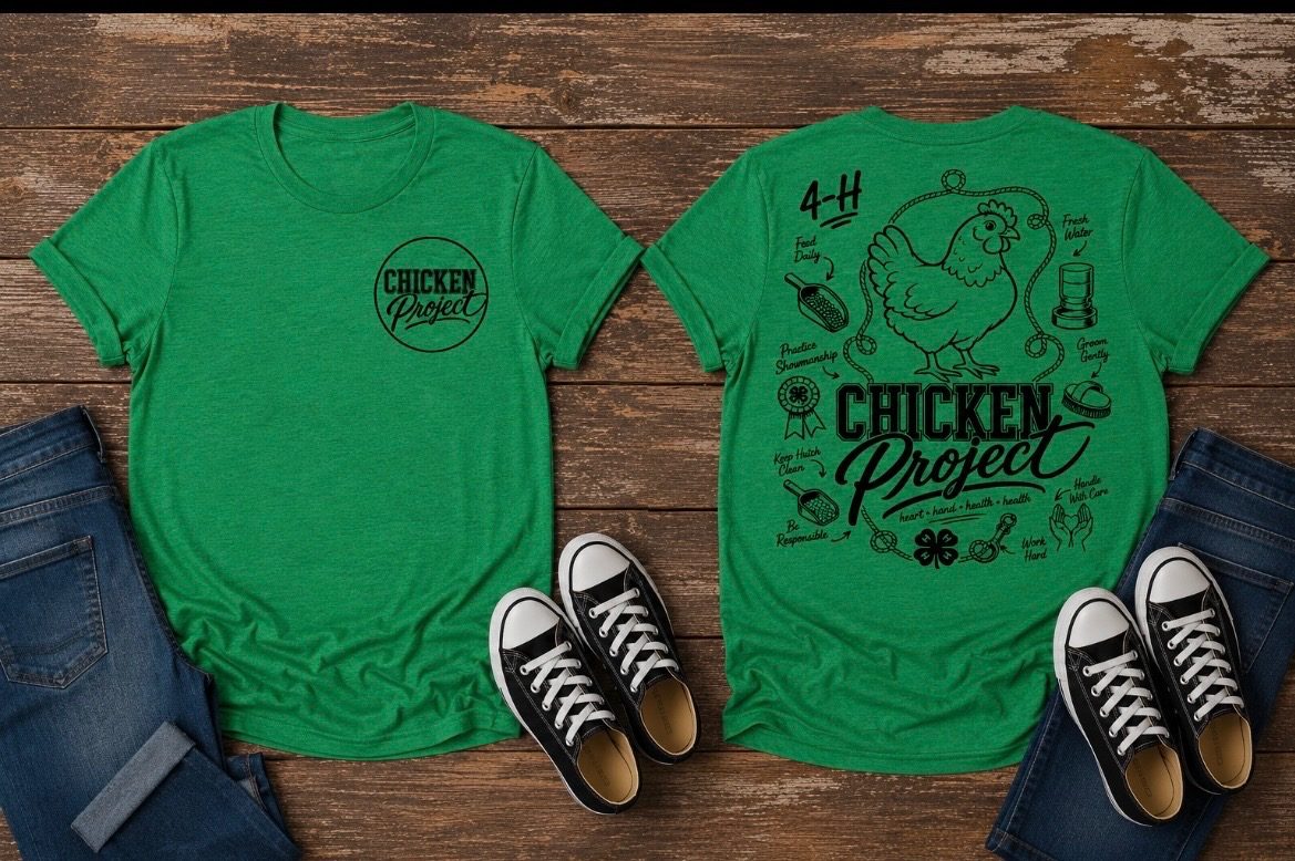 4H Chicken Project